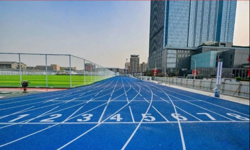 上证速配 体育科技赋能，助力“双奥之城”迈向“国际赛事名城”